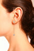 JANA CRYSTAL EARRINGS